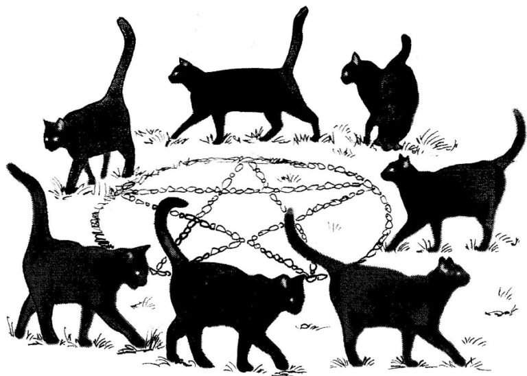 Circle games Poor black cat