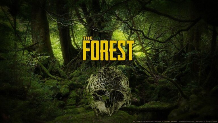 Forest Games Forest Faces